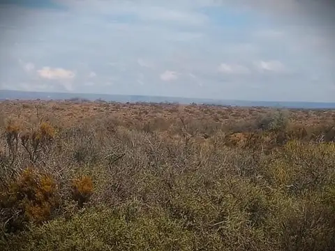 RIO NEGRO, LOS MENUCOS