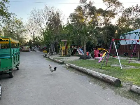 _ Complejo