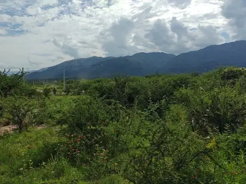 Terreno en Venta 44  mts Frente