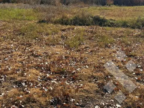 Terreno en Venta en Cinco Saltos, USD 120.000