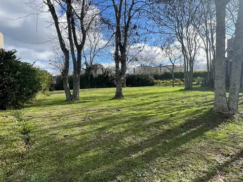 Fincas de Hudson