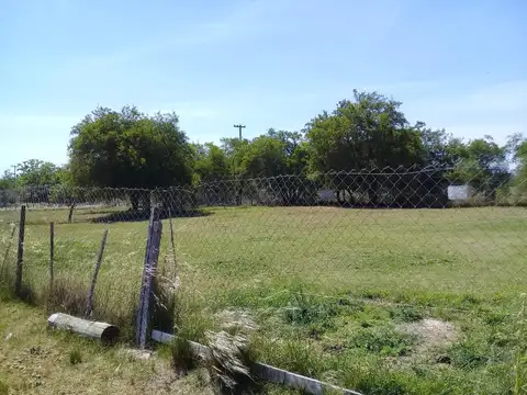 Juan Mantovani y 1443