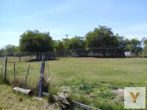 Juan Mantovani y 1443