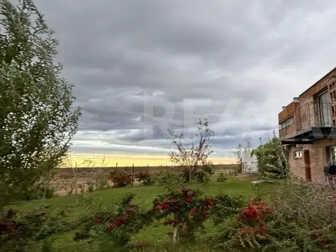 Mari Menuco 100
