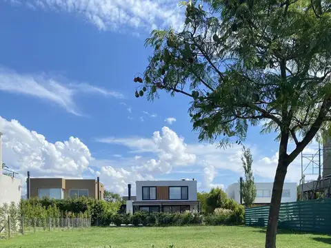 Castaños al 100 - Nordelta