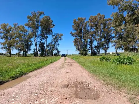 LOTE EN VENTA EN CAÑUELAS