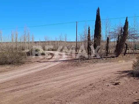 VENTA Lote 1006 m2 en La Península Neuquen