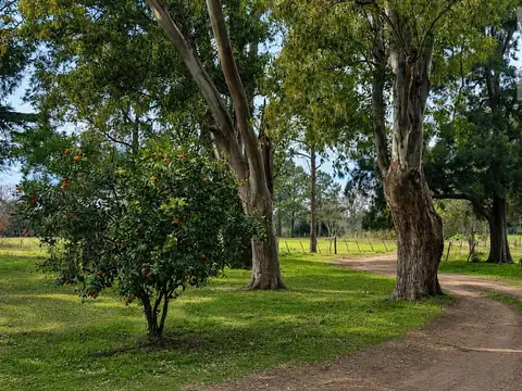 Campo en Venta en San Andres de Giles, Partido de San Andrés de Giles