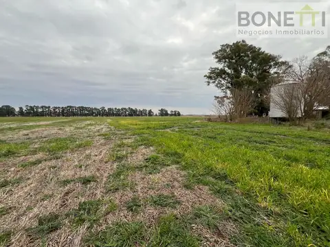 Campo Mixto de 30 hectáreas en San Andrés de Giles, a metros del asfalto, con casas y galpones