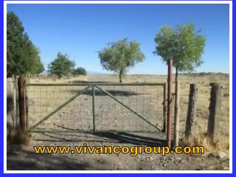 Campo en Venta Forestal
