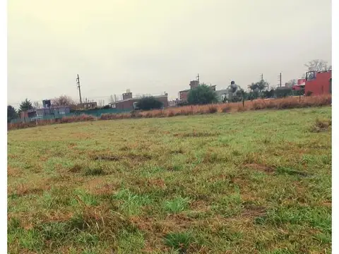 La Yerra 100