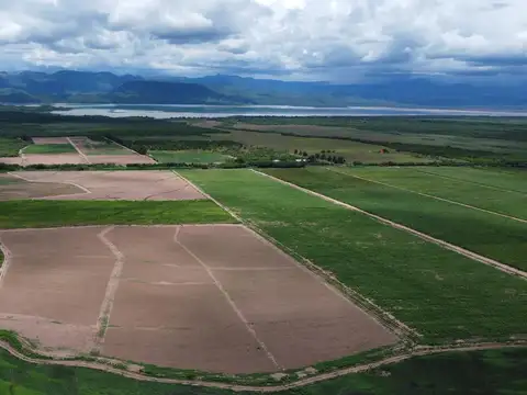 Finca en venta de 1500 hectareas Coronel Moldes, La Viña, Salta