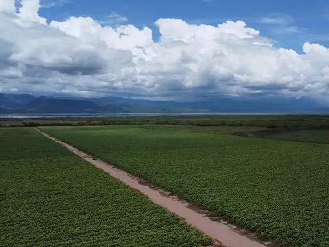 Venta Finca Coronel Moldes 1500 HAS. Ruta 68, km 123.5. Salta