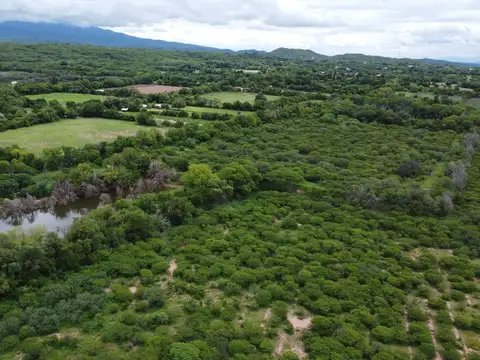 Venta Finca Coronel Moldes 1500 HAS. Ruta 68, km 123.5. Salta
