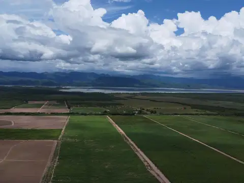 Finca en venta de 1500 hectareas Coronel Moldes, La Viña, Salta