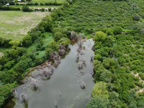 Finca en venta de 1500 hectareas Coronel Moldes, La Viña, Salta