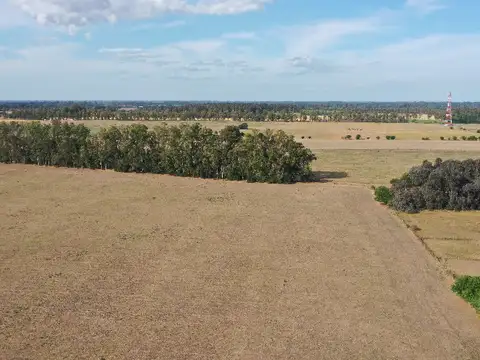 Campo en Venta Agrícola