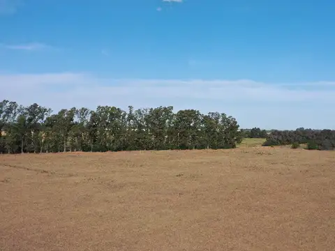 14 Has. Chacra en Los Cardales