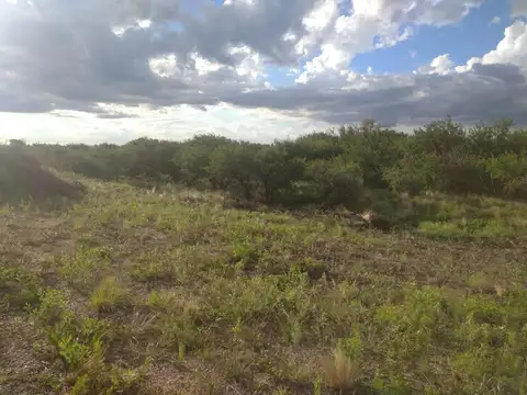 Terreno en Venta en Cortaderas, Chacabuco