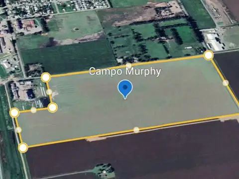 Campo 37 ha Agrícola Clase 1 – Ubicación Estratégica sobre Ruta