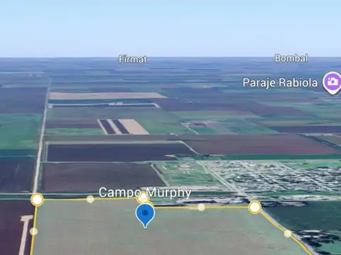 Campo 37 ha Agrícola Clase 1 – Ubicación Estratégica sobre Ruta