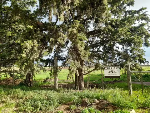 Terreno en Venta de 623,0 m2