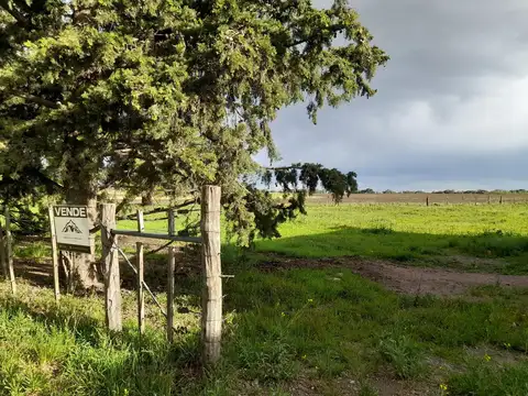 Terreno en Venta 45  mts Frente