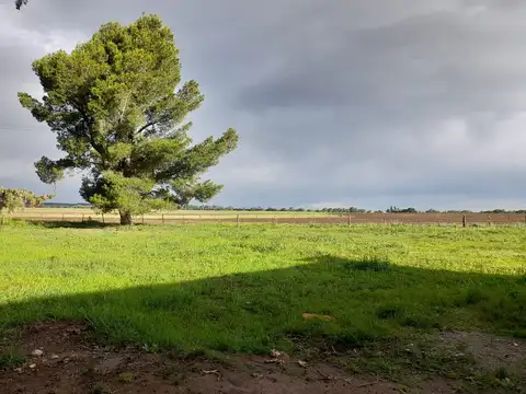 Terreno en Venta en Saldungaray, USD 29.000