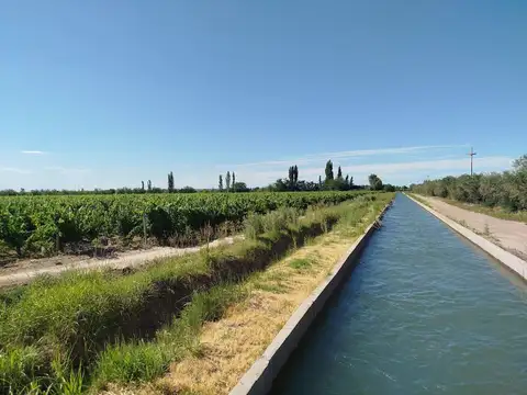 Venta Finca/Chacra con Gran Bodega Medrano Junín