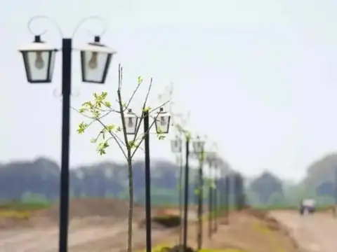 Terreno en Venta 10  mts Frente