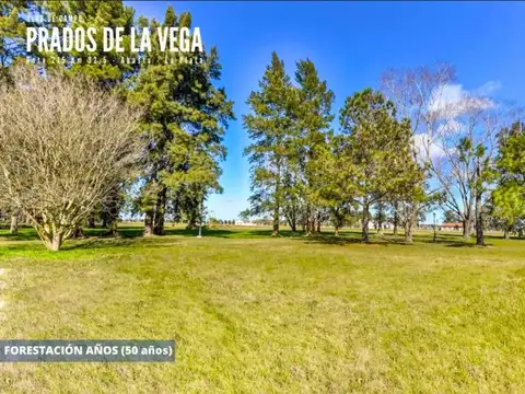 Terreno en Venta de 840,0 m2