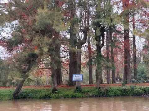 Rio o Arroyo Último Lote Espera Wayra Pa 5 20 x 100