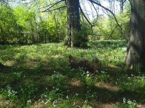 Terreno en Venta de 1100,0 m2