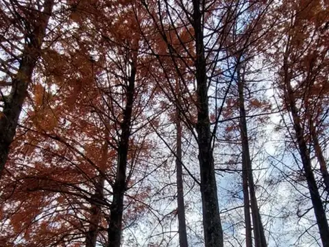 Terreno Lote  en Venta en Espera, Zona Delta, Tigre