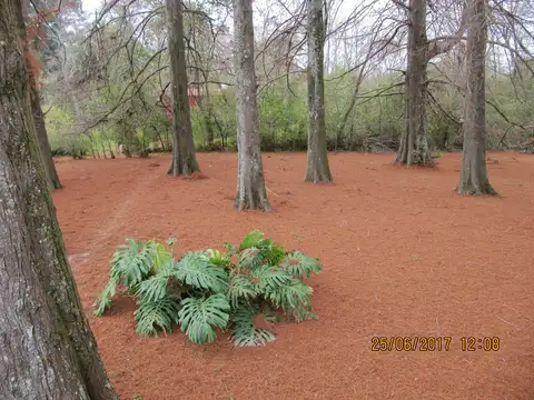 Terreno en Venta de 1100,0 m2