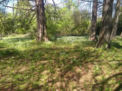 Terreno en Venta en Espera, USD 38.000