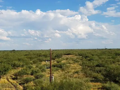Campo ganadero en venta 2700 hectareas aprox  Mendoza