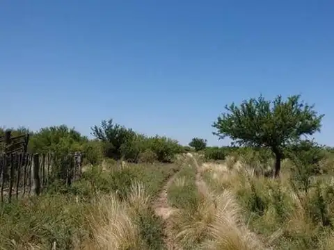 Campo en Venta Ganadero