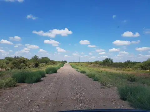 Campo ganadero en venta 2700 hectareas aprox  Mendoza