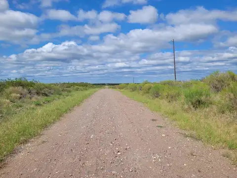 Campo en Venta Ganadero
