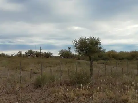 Campo ganadero en venta 2700 hectareas aprox  Mendoza