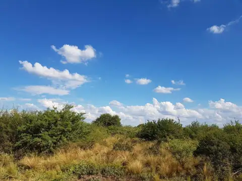 Ruta 206