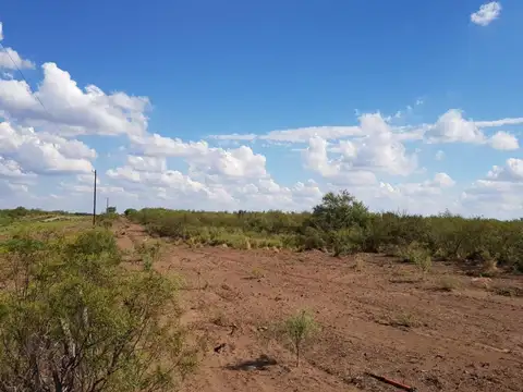 Campo ganadero en venta 2700 hectareas aprox  Mendoza