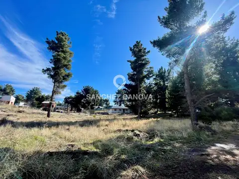 Terreno Lote  en Venta en Dina Huapi, Bariloche, Patagonia