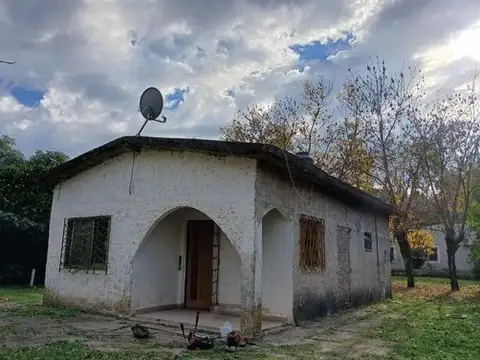 Las Casuarinas 100