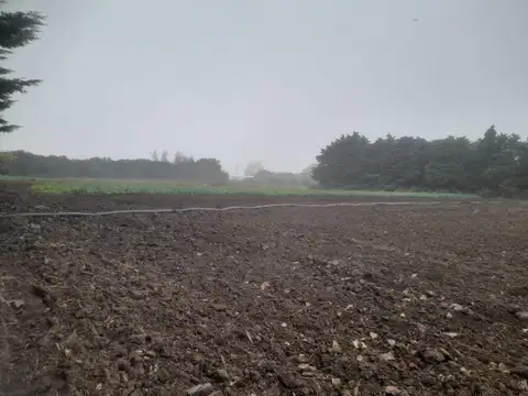 31°01'32.3"s 64°05'16.1"w
