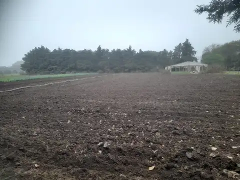 31°01'32.3"s 64°05'16.1"w