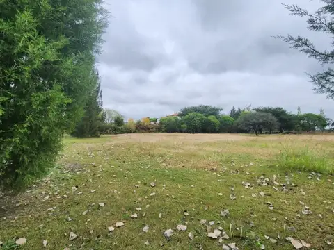 TERRENOS/FRACCIONES/LOTEOS - LOTEOS - SAN AGUSTÍN