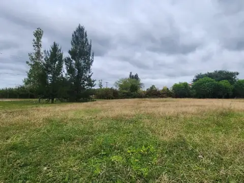 RUTA 26 LA ISLA 1000