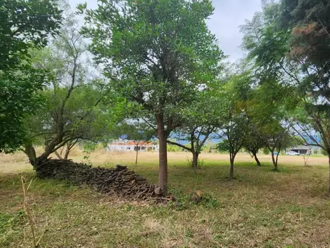 TERRENOS/FRACCIONES/LOTEOS - LOTEOS - SAN AGUSTÍN